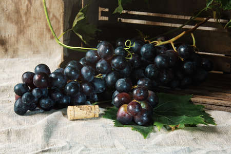 Blue wine grapes in the broken wooden boxの写真素材