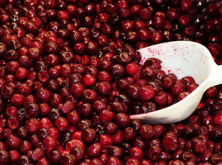 Shoot of Frozen Cranberries on the foodshopの写真素材