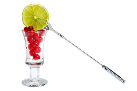 Currant and lime are delicious and full of vitaminsの写真素材