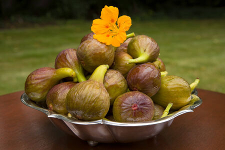 Sweet figs now harvested in my gardenの写真素材