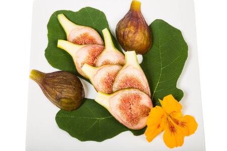 Sweet figs now harvested in my gardenの写真素材