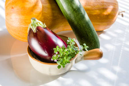 Baby eggplant, pumpkin and zucchini - great vegetablesの写真素材