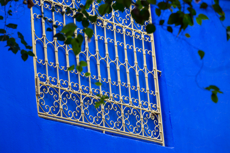 Botanical garden Jardin Majorelle in Marrakesh (Morocco)の写真素材