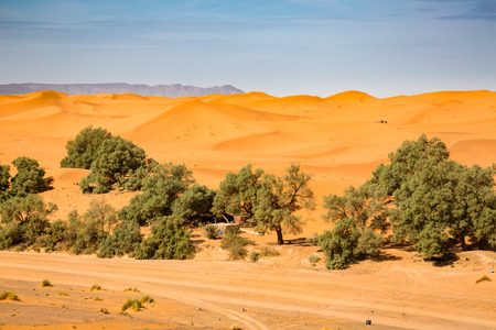 Sand dunes of the Sahara desert near Merzougha in Moroccoの写真素材