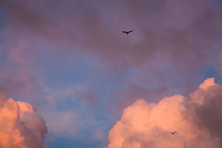 Early evening on the coast in Sidi Ifni, southwestern Morocco, Atlantic oceanの写真素材