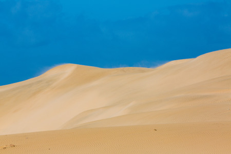 Sand dunes of Plage Oued Chbika, in the southwestern part of Morocco on the Atlantic coastの写真素材