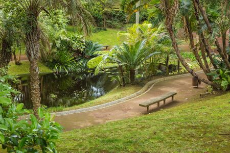 Antonio Borges Botanical Garden in Ponta Delgada. Ponta Delgada on the island of Sao Miguel is the capital of the Azores.の写真素材