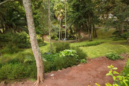 Antonio Borges Botanical Garden in Ponta Delgada. Ponta Delgada on the island of Sao Miguel is the capital of the Azores.の写真素材