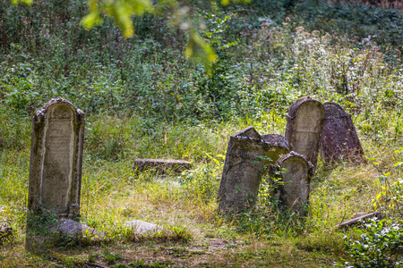 Old abandoned Jewish cemetery above the village Dobra voda, Slovakia.の写真素材
