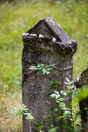 Old abandoned Jewish cemetery above the village Dobra voda, Slovakia.のeditorial素材
