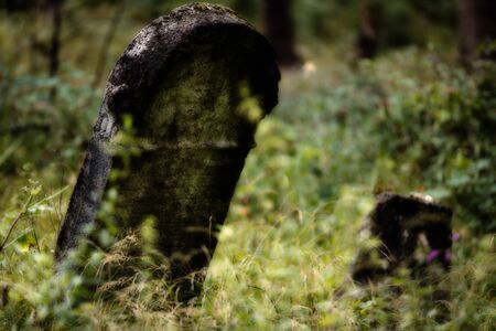 Old abandoned Jewish cemetery above the village Dobra voda, Slovakia. (Blurred effect Illustration)の写真素材