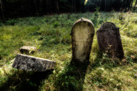 Old abandoned Jewish cemetery above the village Dobra voda, Slovakia. (Blurred effect Illustration)の写真素材