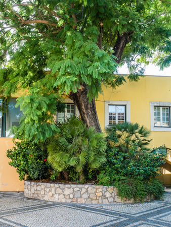 In the old alleyways of Faro on the coast of southern Portugal, the capital of the Algarve districtの写真素材