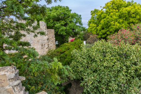 Garden of Tavira Castle in Portugal. 11th-century castle ruins featuring sweeping town and park views from its battlement walls.のeditorial素材