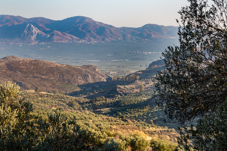 Olive plantations in the high mountains of the island of Crete, Greeceの写真素材