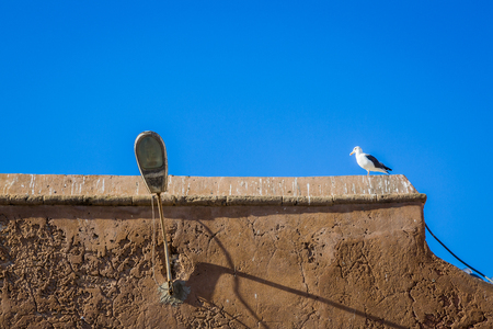 Fragments from the alleys of the medina in Essaouira, Moroccoの写真素材