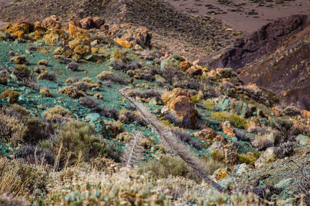 View of the landscape in Teide National Park. Tenerife, Canary Islands, Spainの写真素材