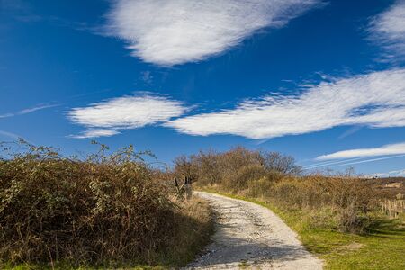 Landscape under the mountains of the Little Carpathians near Bratislava, Slovakiaの写真素材