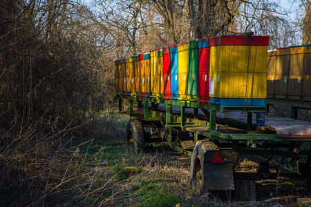 Beehives in the rays of the spring sun by the river Small Danube. Slovakiaの写真素材