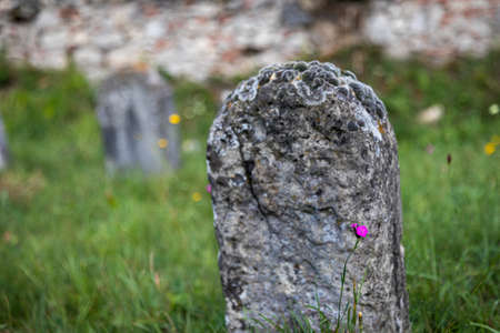 Very old abandoned Jewish cemetery near the village of Trstin, Slovakiaの写真素材