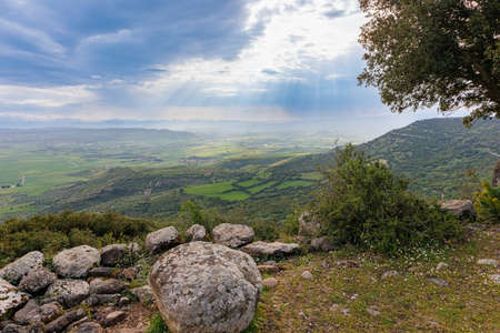 In the Parco della Giara nature reserve on the island of Sardinia, Italy