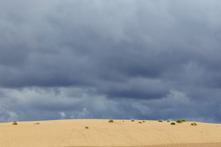 Sand dunes in the Parque Natural de Corralejo on the island of Fuerteventura in the Canary Islandsの写真素材
