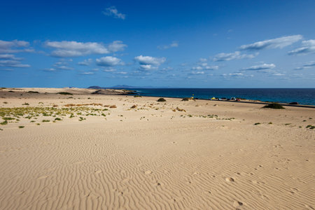 Sand dunes in the Parque Natural de Corralejo on the island of Fuerteventura in the Canary Islandsの写真素材