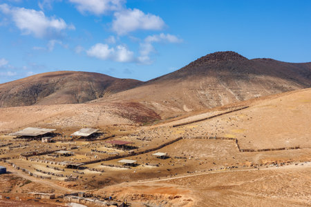 Goat farming is widespread on the island of Fuerteventura in the Canary Islandsの写真素材