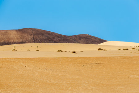 Sand dunes in the Parque Natural de Corralejo on the island of Fuerteventura in the Canary Islandsの写真素材