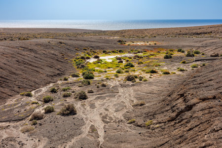 Country in the south of the island of Fuerteventura in the Canary Islandsの写真素材