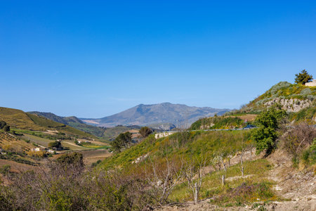 Landscape with vineyards in the province of Marsala on the island of Sicily, Italyの写真素材