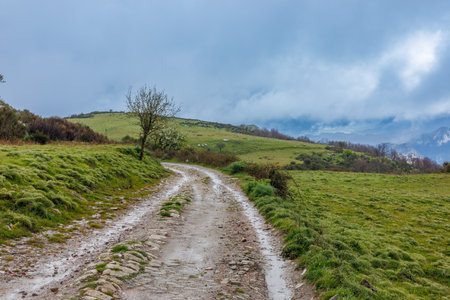 Landscape after the rain near the "Riserva Naturale Orientata Bosco di Malabotta" on the island of Sicily, Italyの写真素材