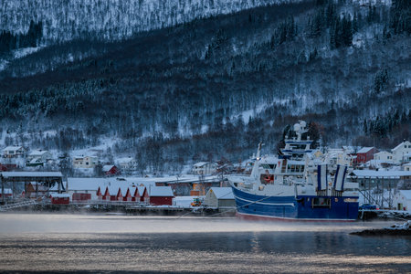 The fishing village of Gratangen in the early evening light of the beginning of winter, Lofoten, northern Norwayの写真素材