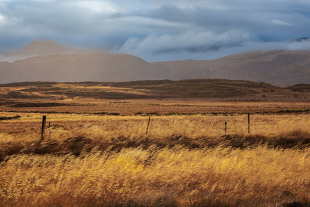 Landscape around the town of Borgarnes in the west of Iceland in the North Atlanticの写真素材