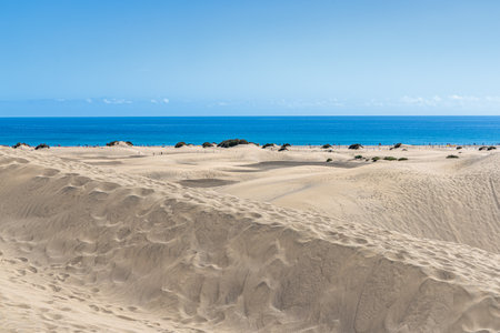 Sand dunes Dunas de Maspalomas, Gran Canaria, Canary Islands, Spainの写真素材