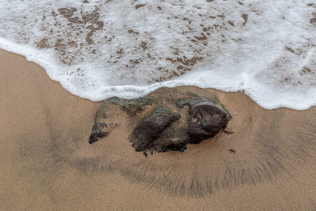 Rock, sand and the Atlantic, Gran Canaria, Canary Islands, Spainの写真素材