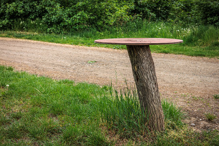 At the Paliste campsite on the Dyje River next to the village of Nejdek, Czech Republic, Europeの写真素材