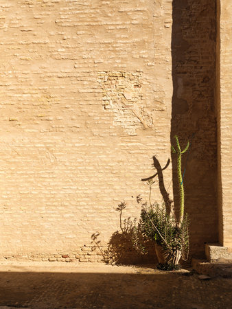 A sunlit stroll through the narrow alleys of Kairouanâs Medina. The historic architecture and vibrant blue doors capture the authentic spirit and timeless charm of Tunisiaâs spiritual heart under a clear winter sky.の写真素材