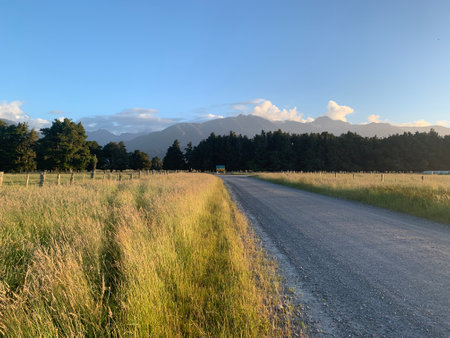 A field path in New Zealandの写真素材