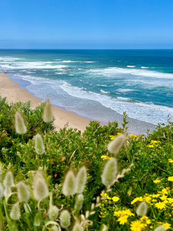 The shoreline on the Great Ocean Roadの写真素材