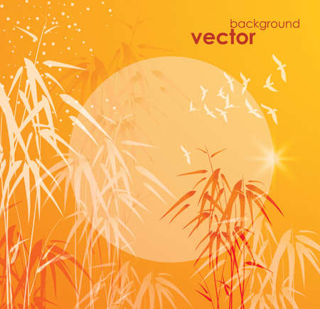 Background with bamboo and sunのイラスト素材