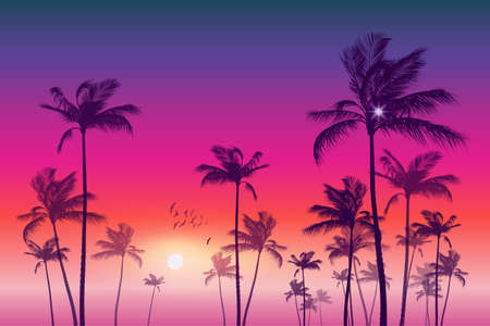 Panorama of  tropical palm tree landscape  at sunset or moonlight, with cloudy sky. Highly detailed  and editableのイラスト素材