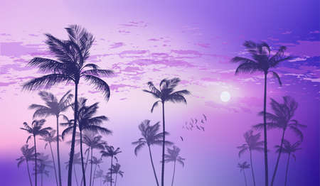Tropical palm tree scene  at sunset or sunrise . Highly detailed  and editableのイラスト素材