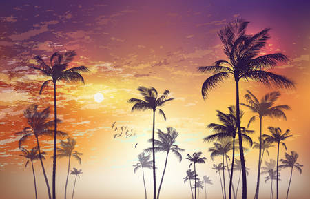 Tropical palm tree scene  at sunset or sunrise . Highly detailed  and editableのイラスト素材