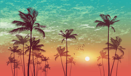 Tropical palm tree scene  at sunset or sunrise . Highly detailed  and editableのイラスト素材