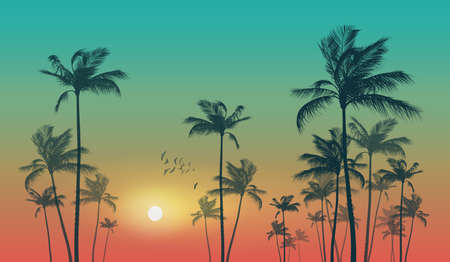 Tropical palm tree scene  at sunset or sunrise . Highly detailed  and editableのイラスト素材
