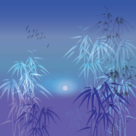 Bamboo trees in moonlight vector illustrationのイラスト素材