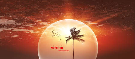 Silhouette of tropical palm tree at sunset or sunrise, with cloudy sky. Highly detailed and editableのイラスト素材