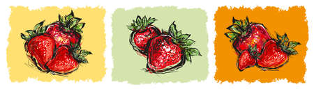 Strawberry sketch hand drawn vector illustration isolated on color backgroundのイラスト素材