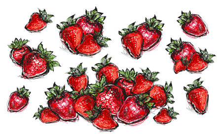 Strawberry sketch hand drawn vector illustration isolated on white backgroundの写真素材